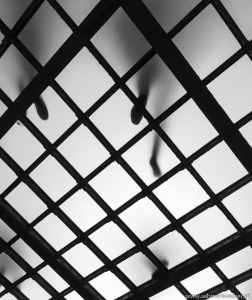 Glass ceiling of the cellar in an old Bank building in Vienna | Glasdecke im Saferaum der alten Länderbank