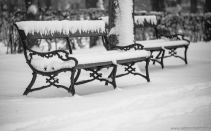 Snow covered benches in Schönbrunn, Vienna | schneebedeckte Parkbänke im Schloßpark Schönbrunn, Wien