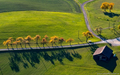 trees and their shadows in the afternoon sun | herbstliche Nachmittagssonne während eines Gyrocopterflugs