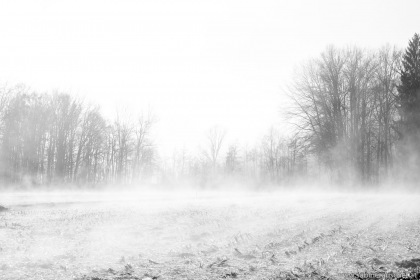 Winter scenery in a field | Winterlandschaft