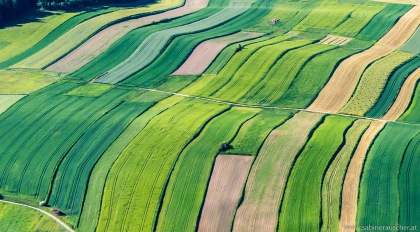 fields from above | sommerliche Felder vom Gyrocopter aus gesehen