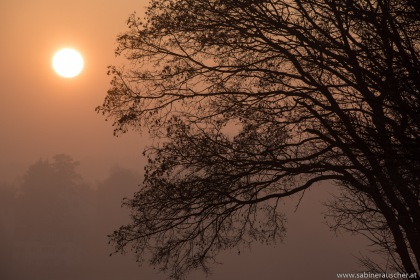 Sunset on a misty New Year´s Day | Sonnenuntergang am Neujahrstag