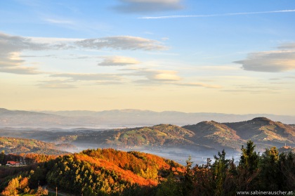 glowing hills of South Styria | glühende Hügellandschaft, Südsteiermark