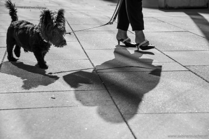 Walk the dog in Vienna | Spaziergang mit dem Hund in der Wiener Innenstadt