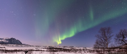 Northern Lights | Nordlicht