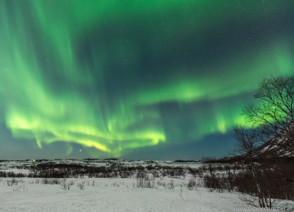 Northern Lights | Nordlicht