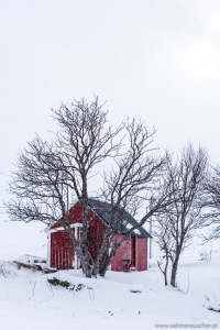 snowfall in Borgvag | Schneegestöber in Borgvag