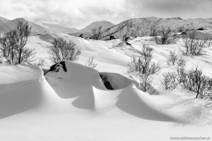 snowdrifts in the sun | schneeverwehte Landschaft im Sonnenlicht