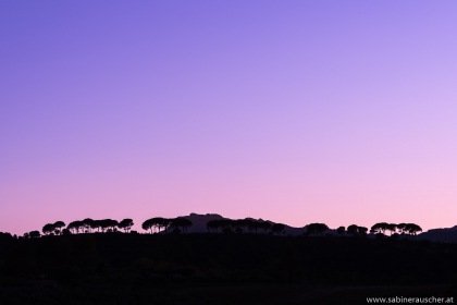 Sunset near Ronda | Abendstimmung bei Ronda