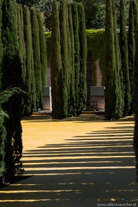 Gardens of Alhambra |Generalife in der Alhambra