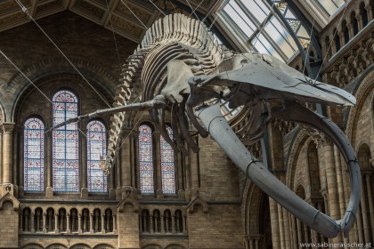 Natural History Museum