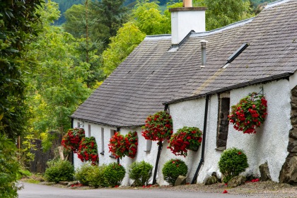 flower-bedecked house near Ballquidder | blumengeschmücktes Haus nahe Ballquidder