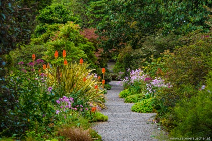 Arduaine Garden, Scotland
