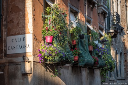 Venice - go green | Venedig - mediterrane Bepflanzung alten Stadtgemäuers