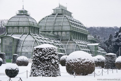 Palmenhaus in Schönbrunn | Palmenhaus im Schloßgarten Schönbrunn