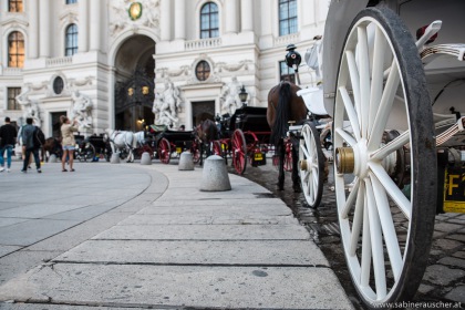 Fiaker at Michaelerplatz in Vienna | Fiaker am Michaelerplatz in Wien