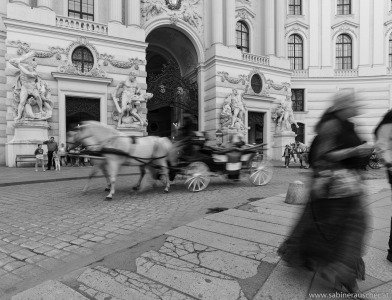 Fiaker at Michaelerplatz in Vienna | Fiaker am Michaelerplatz in Wien