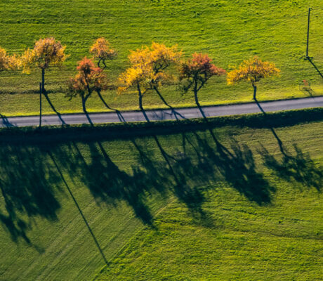 Landscape | Landschaften