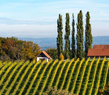 South Styria | Südsteiermark