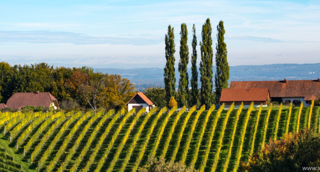 South Styria | Südsteiermark